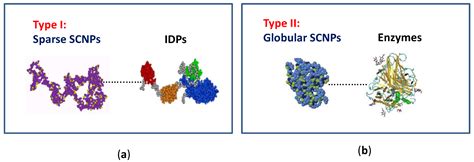 Nanomaterials Free Full Text Advances In Single Chain Nanoparticles For Catalysis Applications