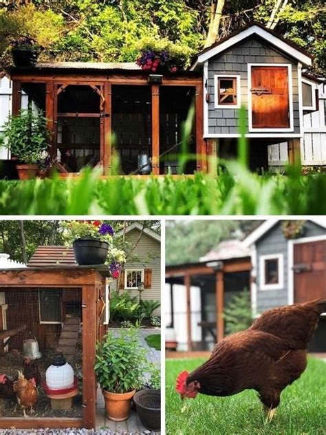 The Most Beautiful Chicken Coops We Ve Ever Seen Beautiful Chickens