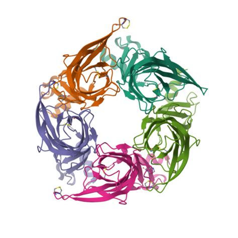 RCSB PDB 5SYO Crystal Structure Of A Chimeric Acetylcholine Binding