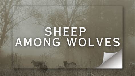 Sheep Among Wolves - Lighthouse Baptist Church of Xenia