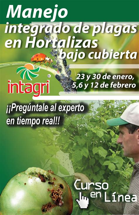 Curso Virtual Manejo Integrado De Plagas En Hortalizas Bajo Cubierta