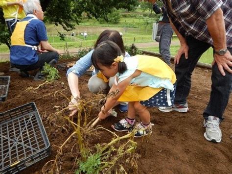 国営昭和記念公園 こもれびの里「ジャガイモ掘り体験」（東京都）の観光イベント情報｜ゆこゆこ