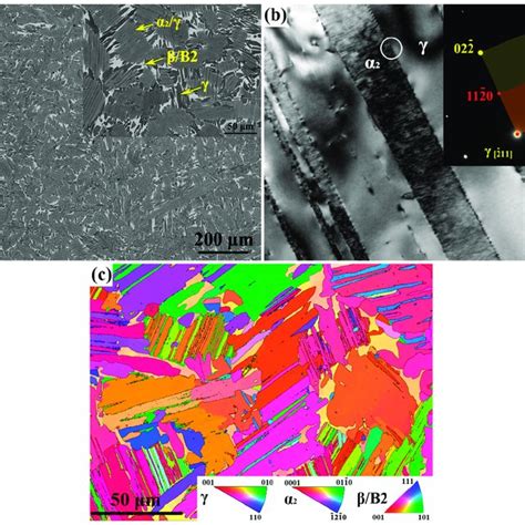 Microstructure Of As Cast Ti Al Nb Cr Mo B Alloy A Sem