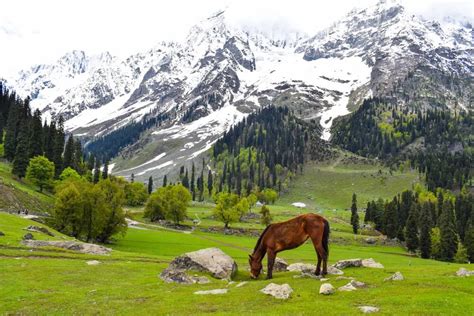 Fascinating Kashmir Arang Kel And Ratti Gali Holiday Travel Tour Package