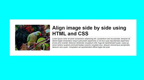 How To Align Image And Text Side By Side Using HTML CSS Step By