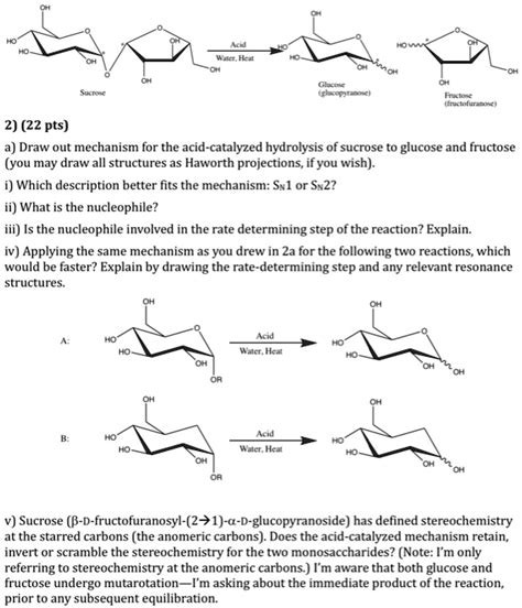 Sucrose Hydrolysis Mechanism