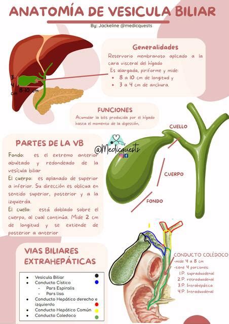 Colecistitis Medicquests UDocz