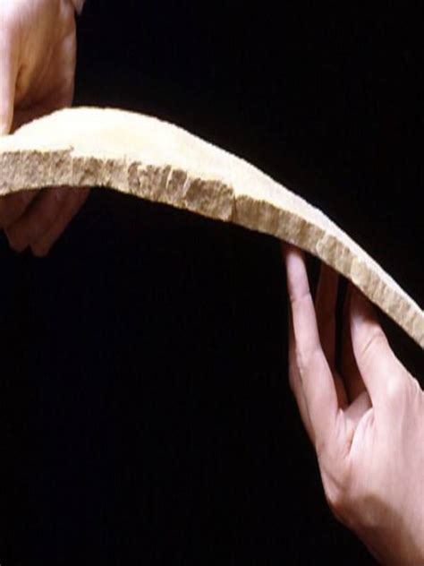 bendable rocks mindstick yourviews mindstick