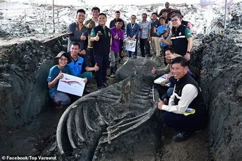 Remarkable Discovery In Thailand A Year Old Foot Leviathan