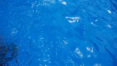 Beautiful Blonde Girl In Bikini Is Swimm Stock Video Pond