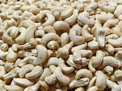 Raw Ivory W320 Cashew Nut At Rs 740 Kg In Bhopal ID 23341783673