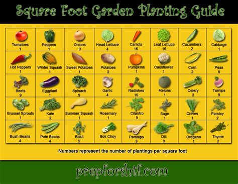 Square Foot Garden Planting Guide If You’re Planning On Starting A Square Foot Garden Here Is A