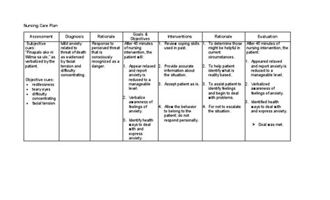 Nursing Care Plan Anxiety