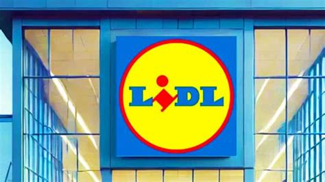 Lidl frappe fort avec cet indispensable de lété à prix mini que tout