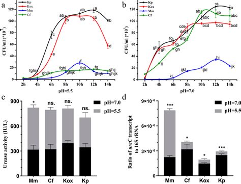 Urease Assays A B Bacteria Growth Curves Were Determined At Different