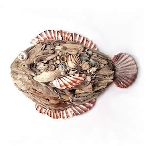 Driftwood Fish Wall Decor, Hanging Art. 39cm, 15 Inches Long. Seashells ...