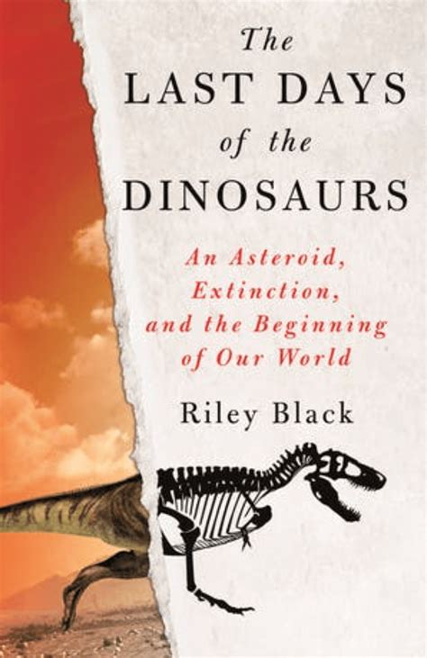 20 Dinosaur Books For Adults From I Know Dino