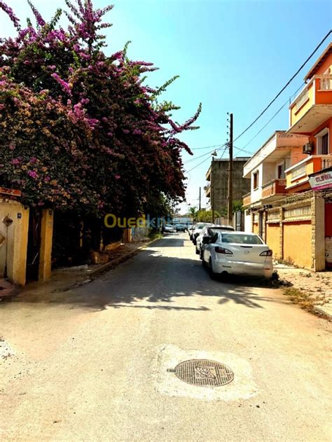 Vente Appartement F Alger El Harrach Alger El Harrach Ouedkniss