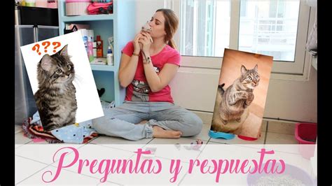 Sesi N De Preguntas Y Respuestas Cat Tips Naty Moreno Youtube