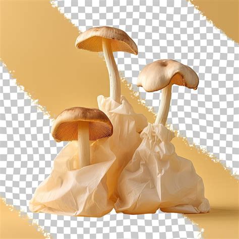 Premium Psd Closeup Of Three Pleurotus Eryngii Mushrooms In A Paper