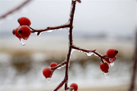 Mesmerising Winter photos from Hungary - GALLERY Daily News Hungary