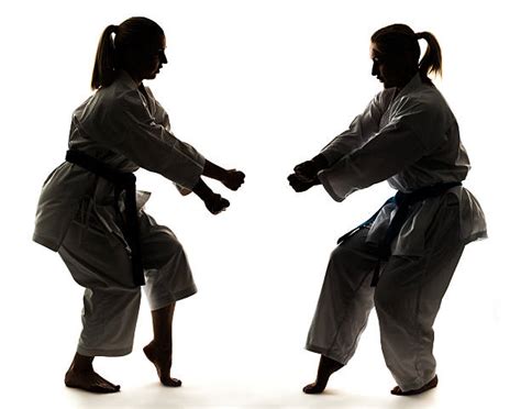 Female Karate Silhouette Stock Photos, Pictures & Royalty-Free Images - iStock