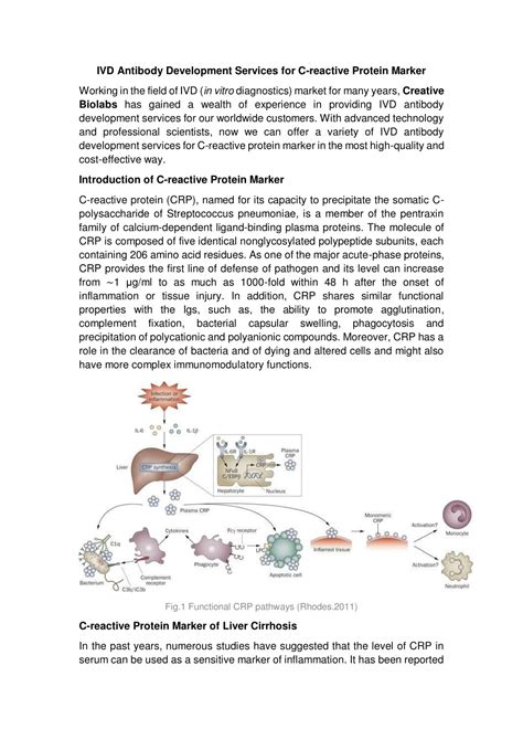 Ppt Ivd Antibody Development Services For C Reactive Protein Marker