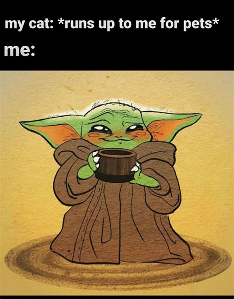 Ah yes baby Yoda meme : r/wholesomememes