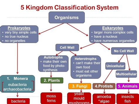 Six Kingdom Classification System