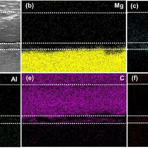 Cross Sectional Morphologies Of A Paptms Pp Coating The Eds Mapping