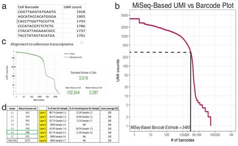 Droplet Barcoding Based Single Cell Transcriptomics Of Adult Mammalian