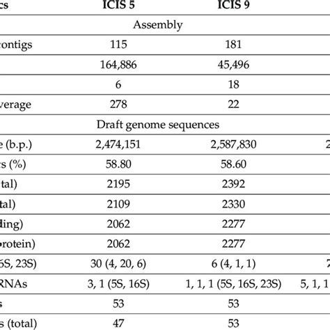 The Characteristics Of The Assembly And Genomes Of Corynebacterium