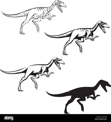 Compsognathus Imagen Realista De Dinosaurio Vector Posiciones Ilustración Blanco Y Negro