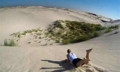 Go Dune Sledding in Monahans Sandhills State Park