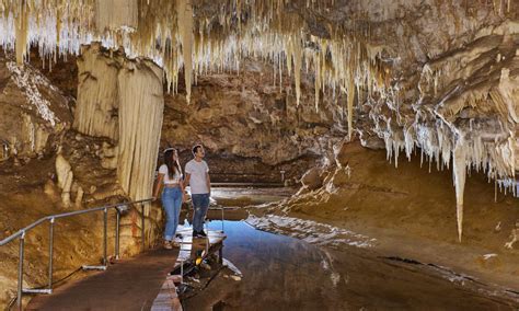 Guided Jewel Cave Margaret River Tour Book Now Experience Oz