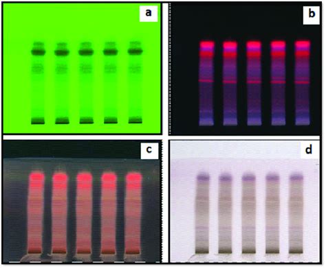 A Hptlc Fingerprinting At Nm B Hptlc Plate Observation At