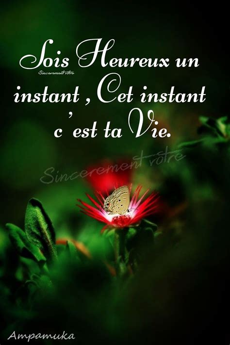 Pin Su Proverbe Nel Parole