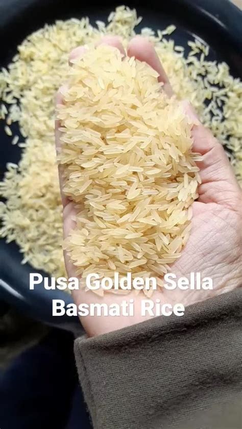 Pusa Golden Sella Basmati Rice At Best Price In New Delhi By Saar