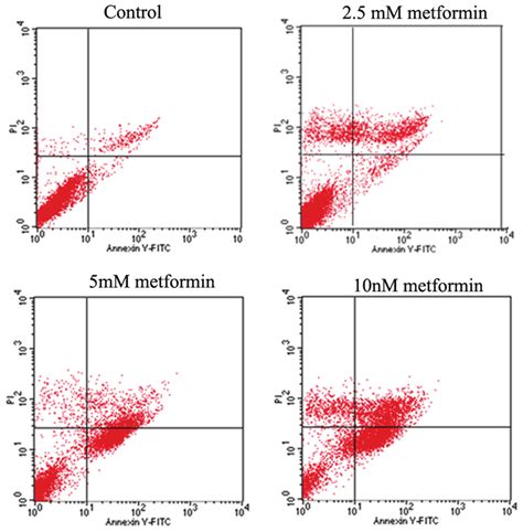 Cell Apoptosis Was Examined Through Flow Cytometry Flow Cytometry