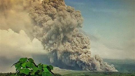 Jepang Pasang Status Siaga Tsunami Usai Gunung Semeru Erupsi Dua