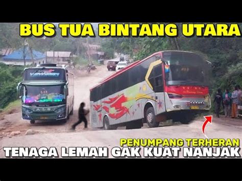 Bus Tua Bintang Utara Tenaga Lemah Gak Kuat Nanjak Dan Mundur Di