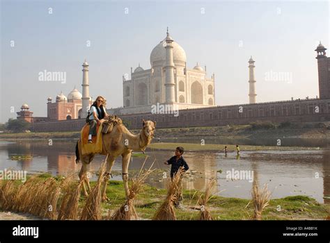 Stock Image Of Taj Mahal From Across The Yamuna River With Windrows For