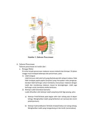 Makalah Biologi Kelompok Ti H Penyakit Sistem Pencernaan Manusia Docx