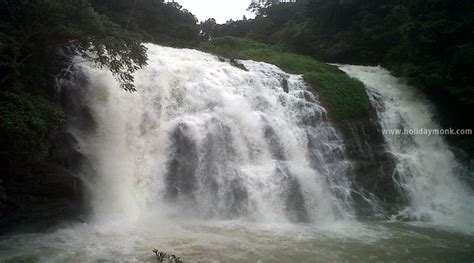 Abbey Falls 6 - Homestays & Resorts in Coorg | Coffee Estate