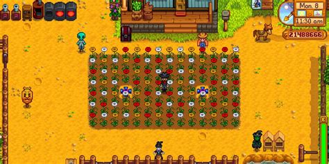 Stardew Valley How To Grow And Use Poppies