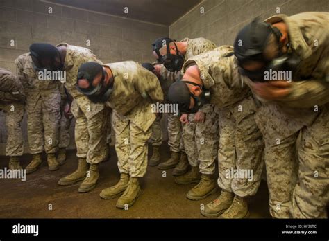 Recruits Of Fox Company 2nd Recruit Training Battalion Shake Their