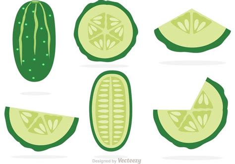 Slices Of Cucumber Vectors 90273 Vector Art at Vecteezy