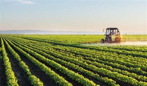 Exporta Es Do Agroneg Cio Do Brasil Superam Us Bi Em Abril