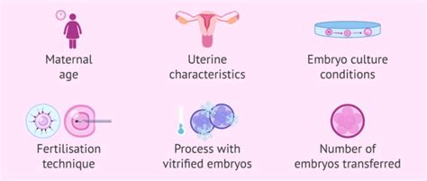 Factors Limiting The Success Rate Of IVF With Sperm Donors