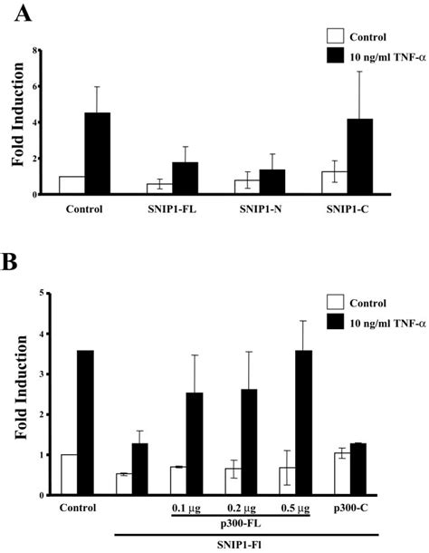 Snip Inhibits Transcriptional Activation Of The Hiv Nf B Reporter By